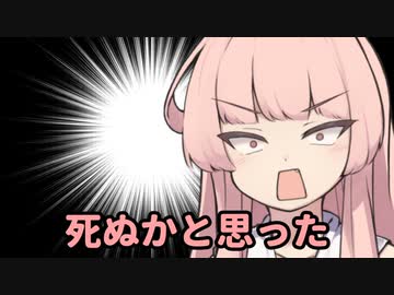 琴葉葵「茜は一緒に寝てくれるなら誰でもいいんでしょ？」茜「！？」