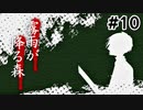【霧雨が降る森】リメイクが決まった名作フリーホラーゲーム｜#10【実況】