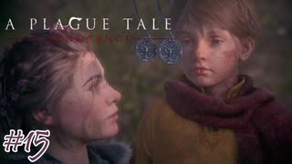 我が家#15【A Plague Tale: Innocence】