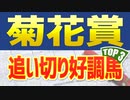 【競馬予想】菊花賞(2021)の調教・追い切りが好調だった３頭を公開！！
