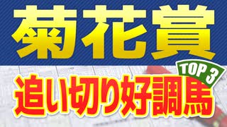 【競馬予想】菊花賞(2021)の調教・追い切りが好調だった３頭を公開！！