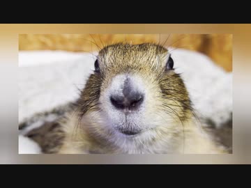 お久しぶりです