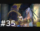 【FF10】これはひよこの物語 35【Steam版】