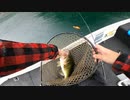 生き餌でバス釣り（ウグイリグ）池原ダムで餌釣りやってみた。