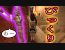 【実況】女一人で邪神を封じます。Part19【トゥームレイダー4】
