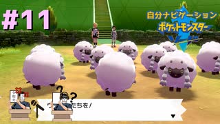 頼れるのは過去の俺！？　自分ナビゲーションポケモン part11　【ポケモンソード】