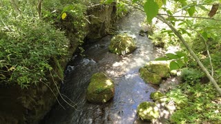 【環境素材】沢の水in北海道