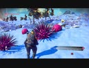 No Man's Sky＃29