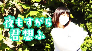 【違法でにむ】夜もすがら君想ふ【踊ってみた】