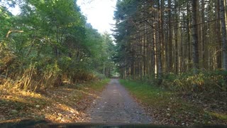 【旅Log】めっちゃ森の中を突き進む。砂利道が次第に狭くなり、、、夏の北海道ドライブ【車載動画】