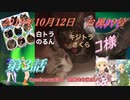 ネコ様達の日常 2021 10 22