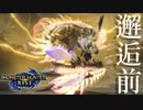 【実況】邂逅前のナルハタタヒメを討伐できるクエストが来た!!!!ていうか体力多くねコイツ【モンスターハンターライズ】