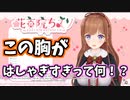 お友達からはしゃぎすぎと言われたちえりちゃん【切り抜き】