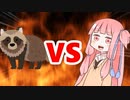茜ちゃんVSたぬき