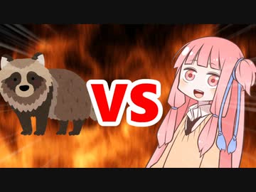 茜ちゃんVSたぬき