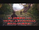 【A Plague Tale：Innocence】暗黒の中世フランスで生き延びますわ。 Part19【字幕実況】