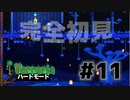 【女性実況】卒論に追われた女子大生たちがハードな世界に逃避する#11【terraria テラリア ハードモード】