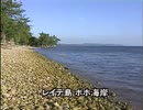 修羅場と化した南の島～レイテ・フィリピン