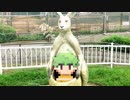 ドトコイ  実況  part4