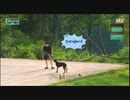 [BTS]IN THE SOOP2 2-2
