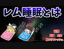 【ゆっくり解説】生物はなぜ眠るのか？ レム睡眠の性質と役割を考察【レム睡眠】