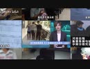 卧底贩婴圈：提前抢购，7万包邮，不满意退款，走进婴儿贩卖的地下交易，扯下人贩子的可怕面具【黑暗森林09】
