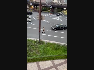 女 vs  タクシー