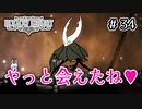 【実況】HOLLOW KNIGHT #34 マッチポンプ感がすごいエンド