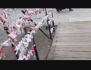 2021/10/23【外配信】ぶら涼さんin上田(長野県)2【初見歓迎】