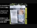 ワクチン被害受けた人々はワクチン強制に抗議する人の気持ちが分かります。