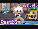 ポケモン剣ではマクロコスモスのポケモン縛りでやっていくPart26