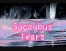 オリジナルギターインスト【 Succubus Tears 】