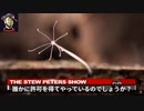 ワクチン成分を調べたら「虫が居ました！」キャリー・マディ医師