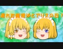 【ゆっくり茶番】遅れた魔理沙とアリスの日！！