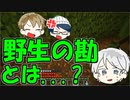 【マイクラRPG】館と迷路と墓守と【フライシェン＃１２】