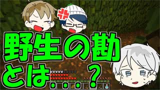 【マイクラRPG】館と迷路と墓守と【フライシェン＃１２】