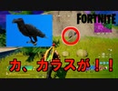 【FORTNITE】今シーズン追加のカラスについて新たに分かった事があります。【チャプター２シーズン8】【＃9】【実況】