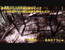 （事務局からのわな検証第２弾ｗ）変態忍者の、有害鳥獣駆除従事活動記・その１７７
