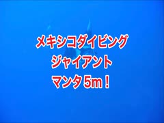 ジャイアントマンタ！イルカ・カツオドリ・ソコロ諸島クルーズ・スキューバダイビング