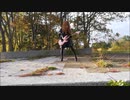 RAZOR-March of Death 弾いてみた　おかま