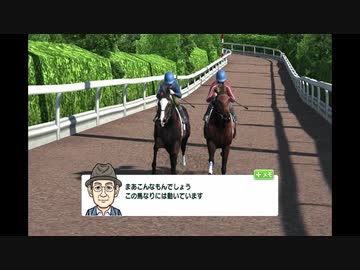 寛仁親王牌決勝を前にコウタの調教