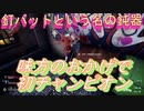味方のおかげでチャンピオン取れた　【釘バット】