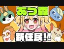 アプデ楽しみすぎ！アプデのための下準備！【あつ森】