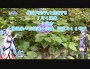 僕はトリシティと旅をする「7月4連休　会津若松～土湯温泉」Part5（土湯温泉～国道461号線）