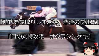 【競馬】ゆっくりさんと未来に語り継ぎたい名馬たち その051【ゆっくり朗読】