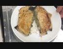 【暇人学生】餃子ドーム作ってみた