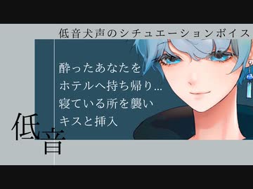 女性向け/asmr｢酔ったあなたを持ち帰り..寝ている所を襲い○○○○｣【低音犬声のシチュエーションボイス】