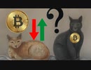 USA:   Will Bitcoin go up or down?  --Let's Study with a Clever Cat !
