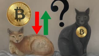 USA:   Will Bitcoin go up or down?  --Let's Study with a Clever Cat !