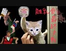 子猫を育てる先輩【Part8】